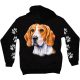 Beagle  kutyás - Férfi / Unisex Pamut Pulóver