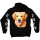 Golden retriever kutyás - Férfi / Unisex Pamut Pulóver