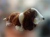 Nagy Kutya Plüss Játék Basset Hound