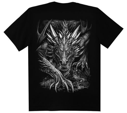 Sárkány ll.  -  Férfi / Unisex Pamut Póló -L